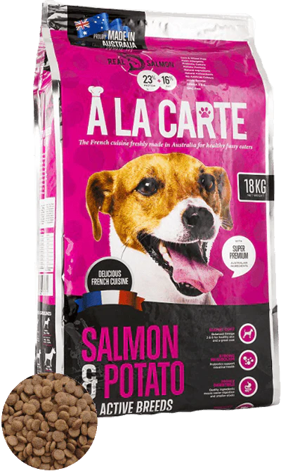 A LA CARTE Salmon and Potatao Low Grain Dry Dog Food
