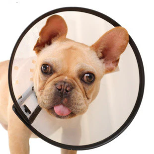 Adjustable Elizabethan Collar Protection Cone #9