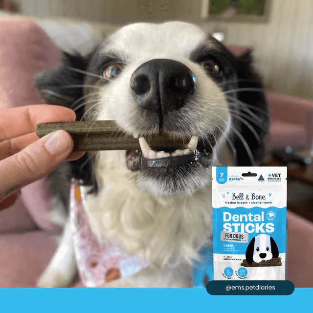 Bell & Bone Dental Stick Lamb, Mint, Manuka Honey Dog Treat 7 Pack - Image 8