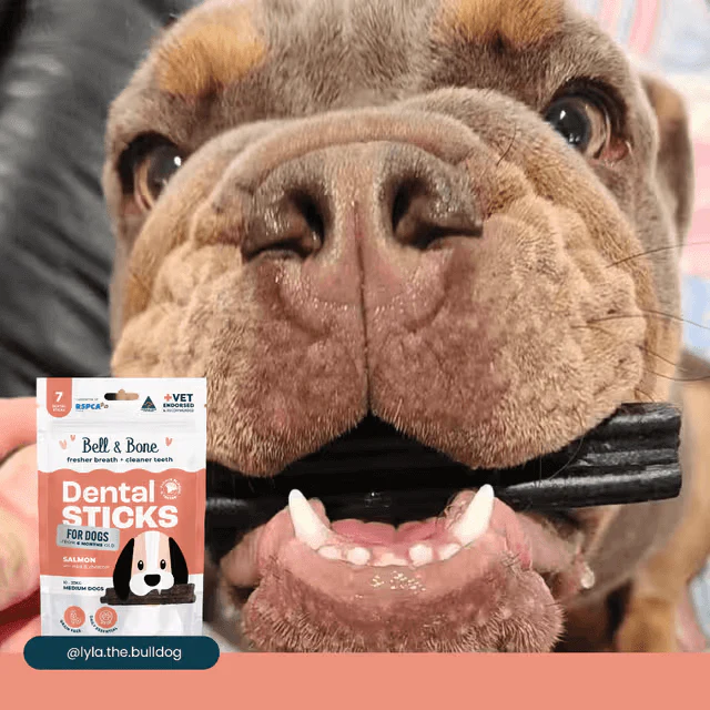 Bell & Bone Dental Stick Salmon, Mint, and Charcoal Dog Treat 7 Pack - Image 7