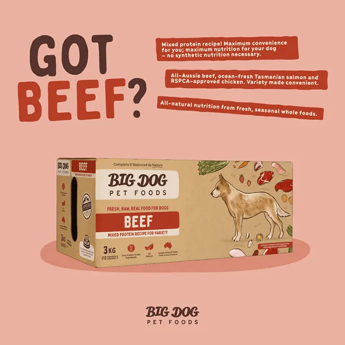 Big Dog Barf Beef Raw Dog Food 3KG - Image 2