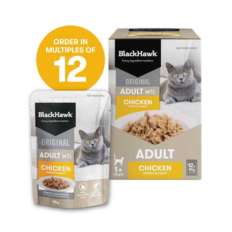 Black Hawk Chicken Gravy Adult Wet Cat Food