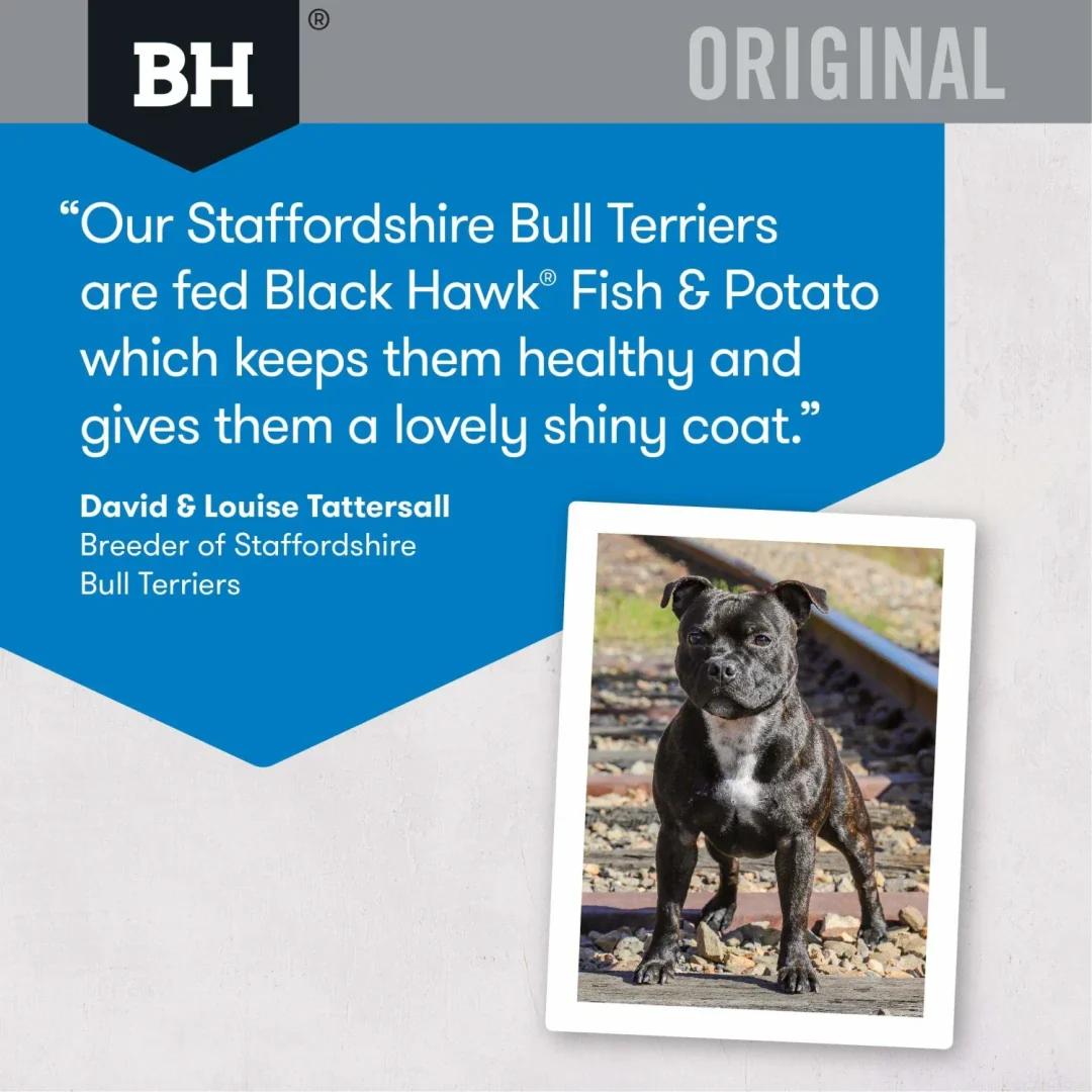 Black Hawk Dry Dog Food Adult Fish & Potato - Image 7