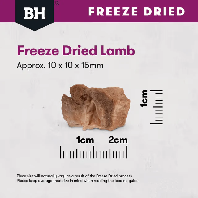 Black Hawk Freeze Dried Lamb Dog Treats 50G - Image 6