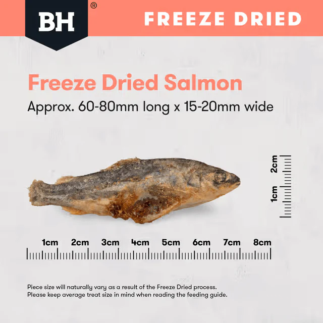 Black Hawk Freeze Dried Whole Salmon Dog Treats 45G - Image 11