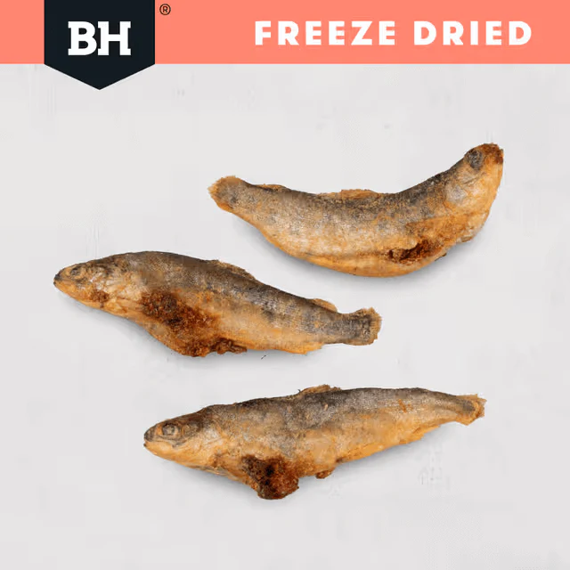 Black Hawk Freeze Dried Whole Salmon Dog Treats 45G - Image 5