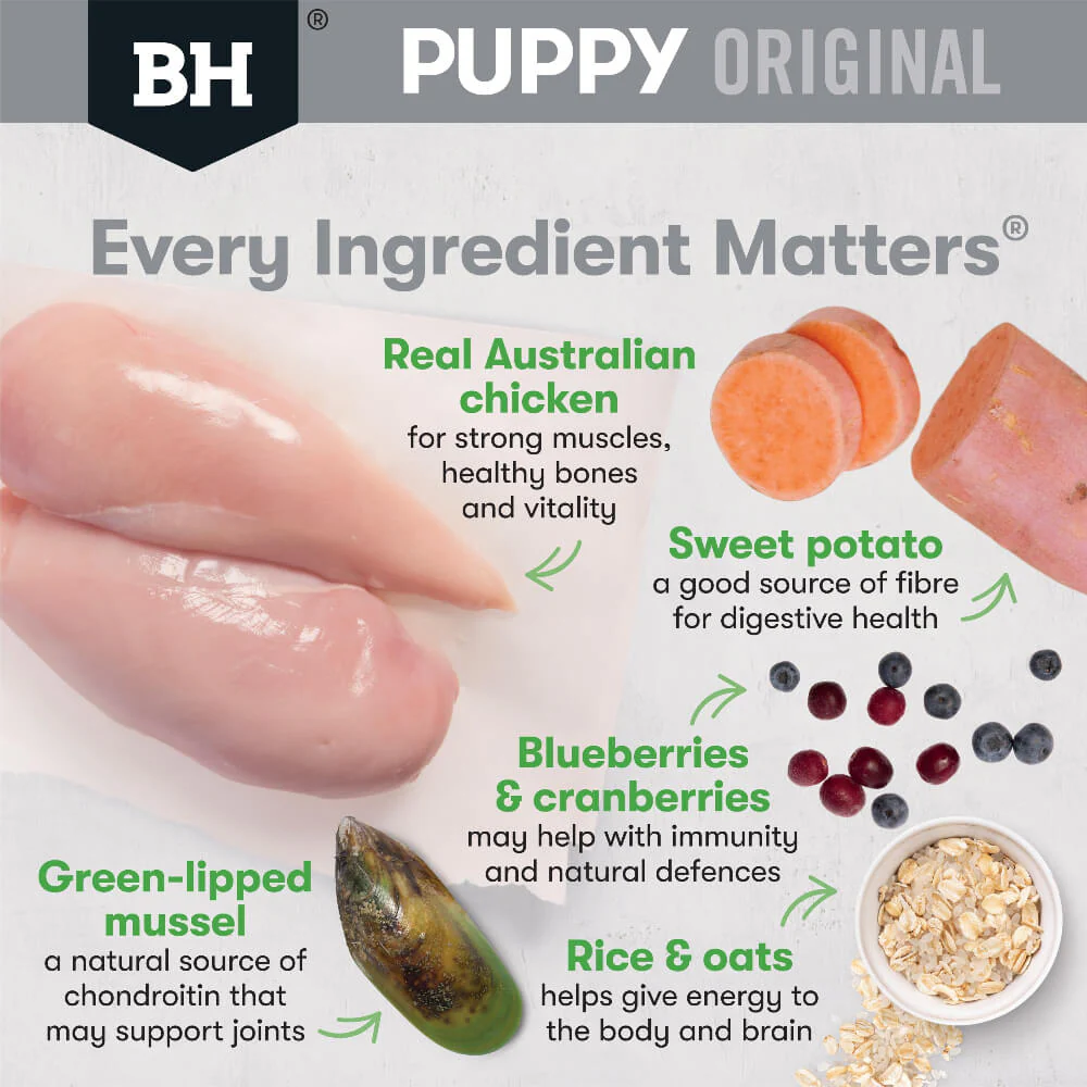BLACK HAWK Large Breed Puppy Dry Dog Food Chicken & Rice - Image 2