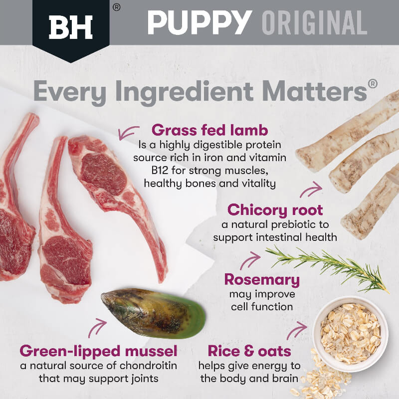 BLACK HAWK Large Breed Puppy Dry Dog Food Lamb & Rice - Image 2