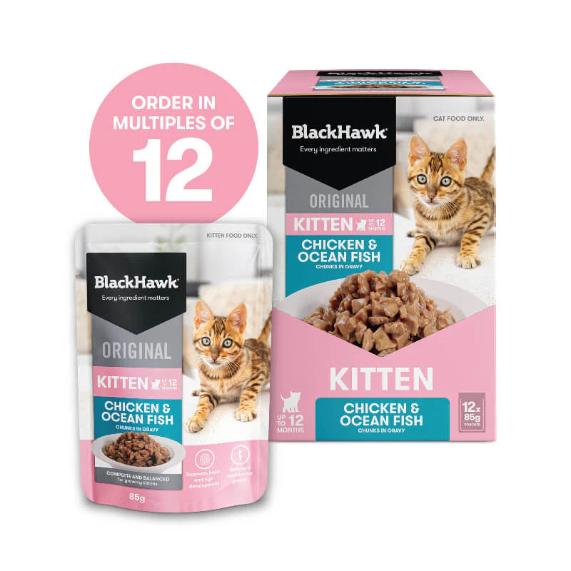 Black Hawk Ocean Fish Kitten Gravy Wet Cat Food