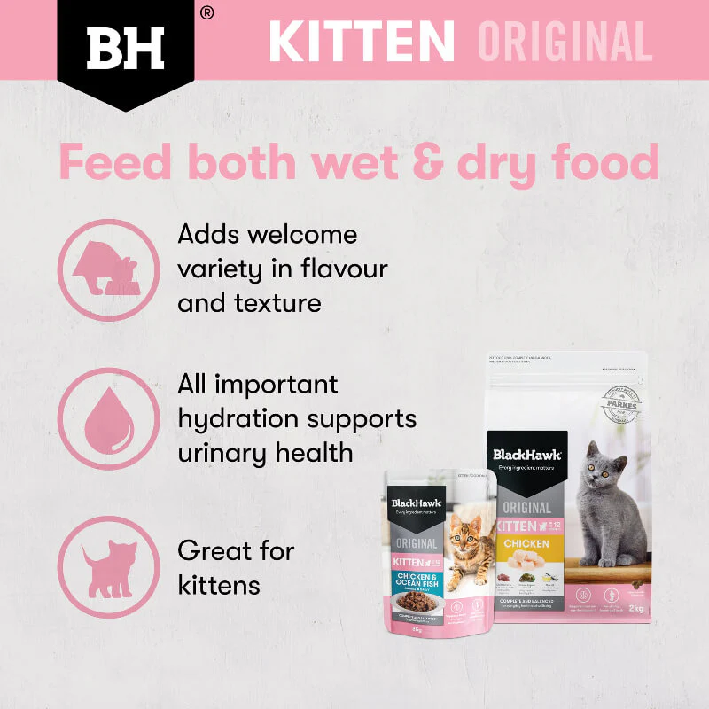 Black Hawk Ocean Fish Kitten Gravy Wet Cat Food - Image 6