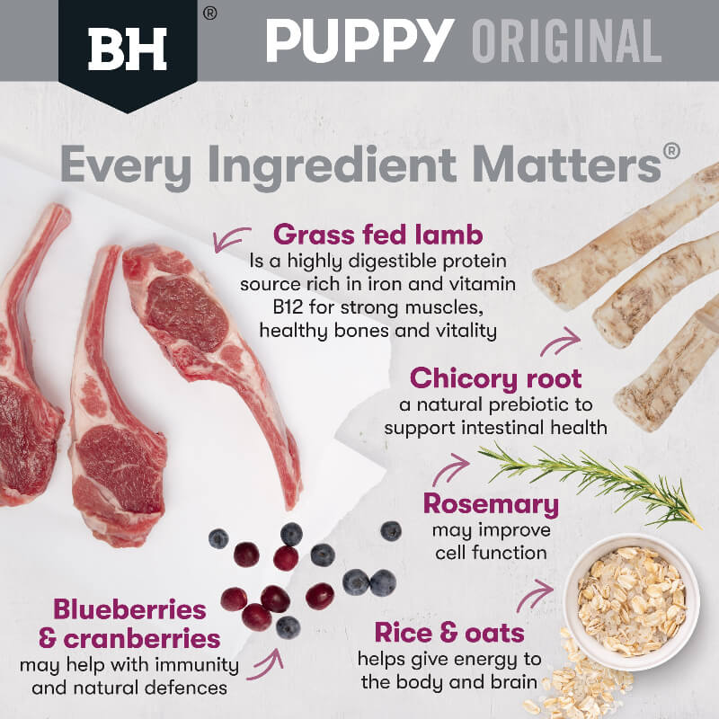 Black Hawk Original Medium Puppy Dry Dog Food Lamb & Rice - Image 2