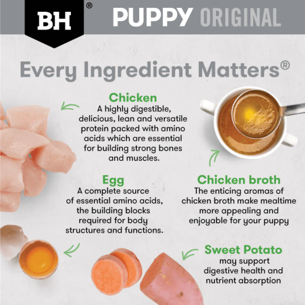 BLACK HAWK Original Puppy Chicken & Vegetables Wet Dog Food 130Gx10 - Image 10