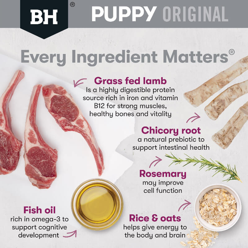 BLACK HAWK Original Small Breed Puppy Dry Dog Food Lamb & Rice - Image 2