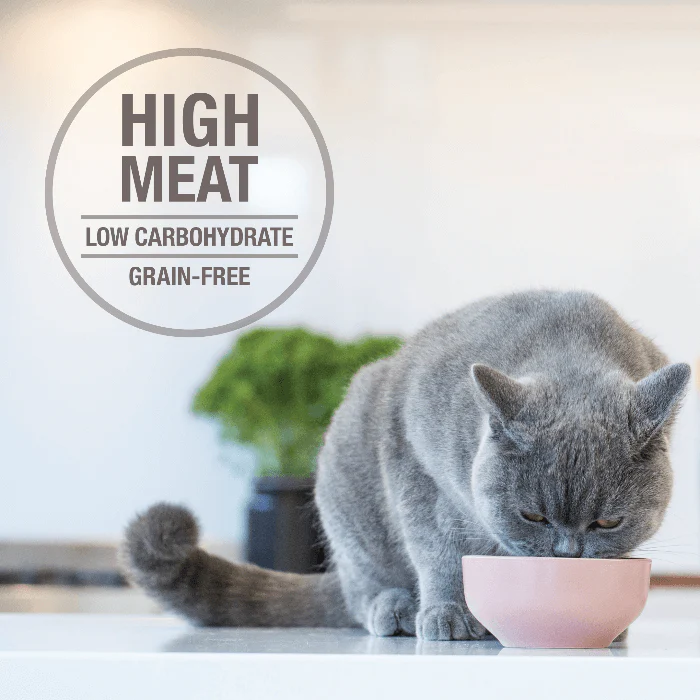 Feline Natural Beef Feast Wet Cat Food Canned 170G - Image 5