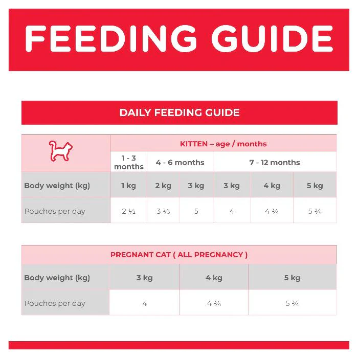 HILLS SCIENCE DIET Kitten Chicken Wet Cat Food pouches - Image 6