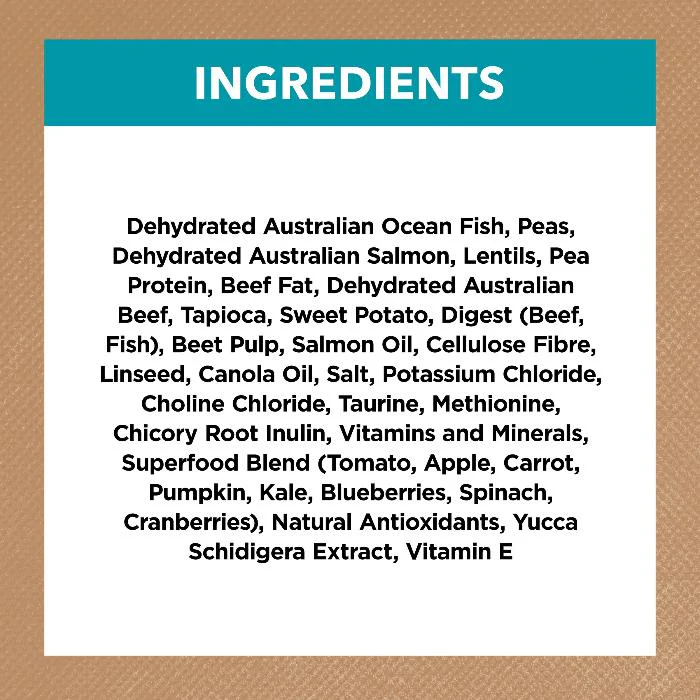 Ivory Coat Grain Free Ocean Fish And Salmon Adult Dry Cat Food 4KG - Image 4