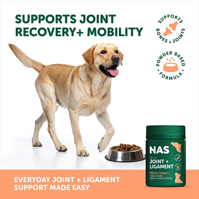 NATURAL ANIMAL SOLUTIONS Joint and Ligament Powder 120G - Image 4