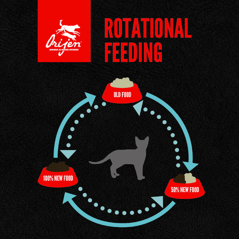 Orijen Biologically Appropriate Original Dry Cat Food 5.4KG - Image 7