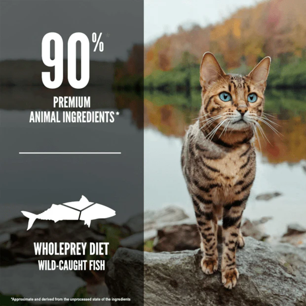 Orijen Biologically Appropriate Six Fish Dry Cat Food 5.4KG - Image 3