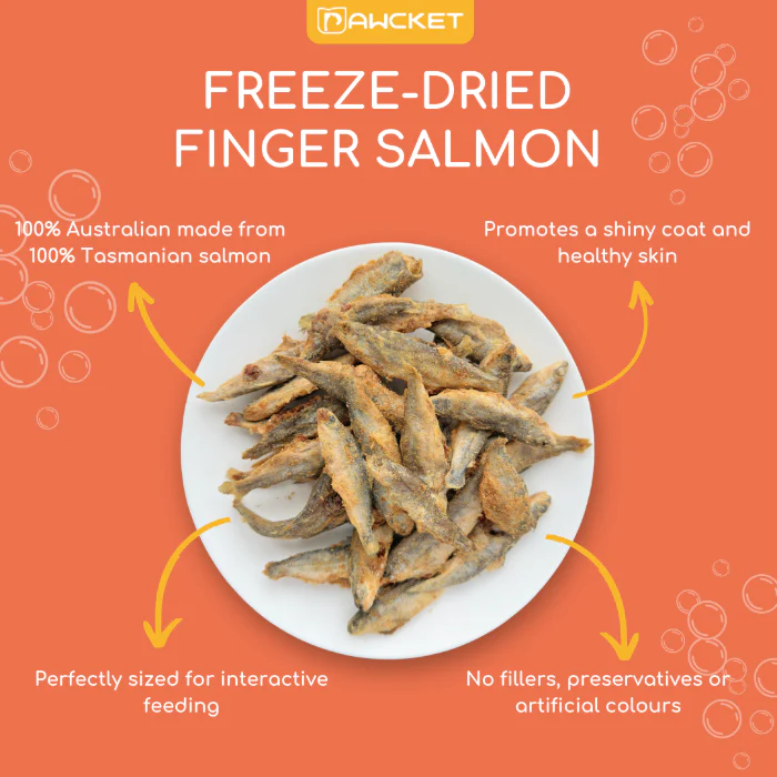 PAWCKET Freeze Dried Raw Baby Salmon Dog & Cat Treat 50G - Image 3