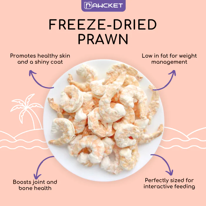Pawcket Freeze Dried Raw Prawn Dog and Cat Treat 25G - Image 2
