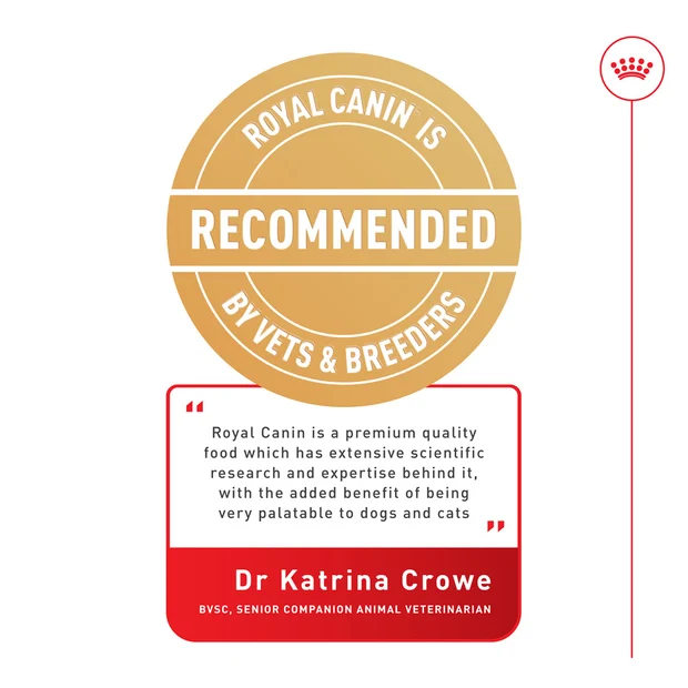 Royal Canin Adult Instinctive Jelly Wet Cat Food Pouches - Image 4