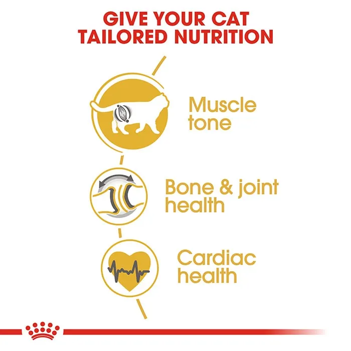 ROYAL CANIN British Shorthair Adult Dry Cat Food - Image 2