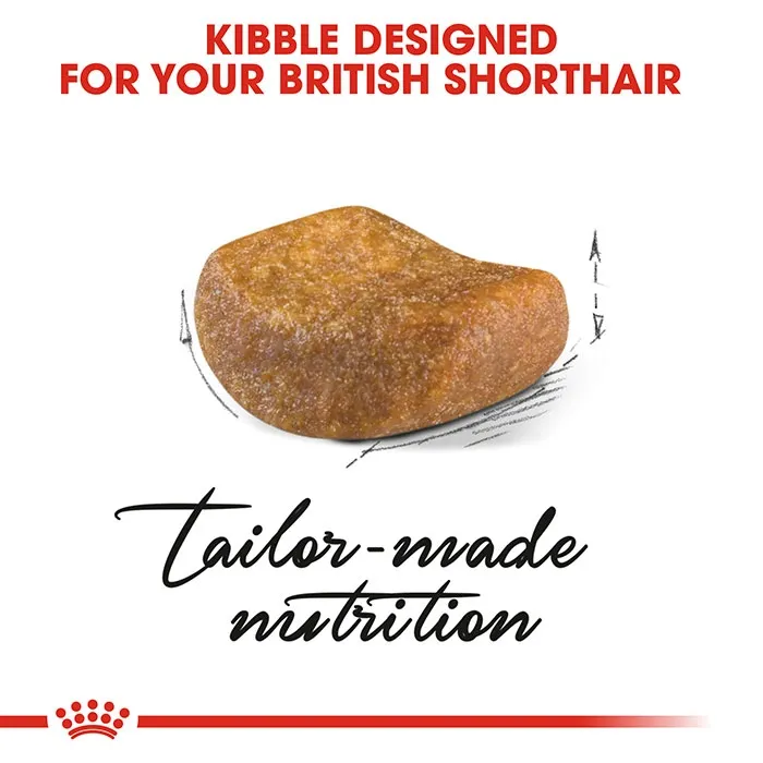 ROYAL CANIN British Shorthair Adult Dry Cat Food - Image 3
