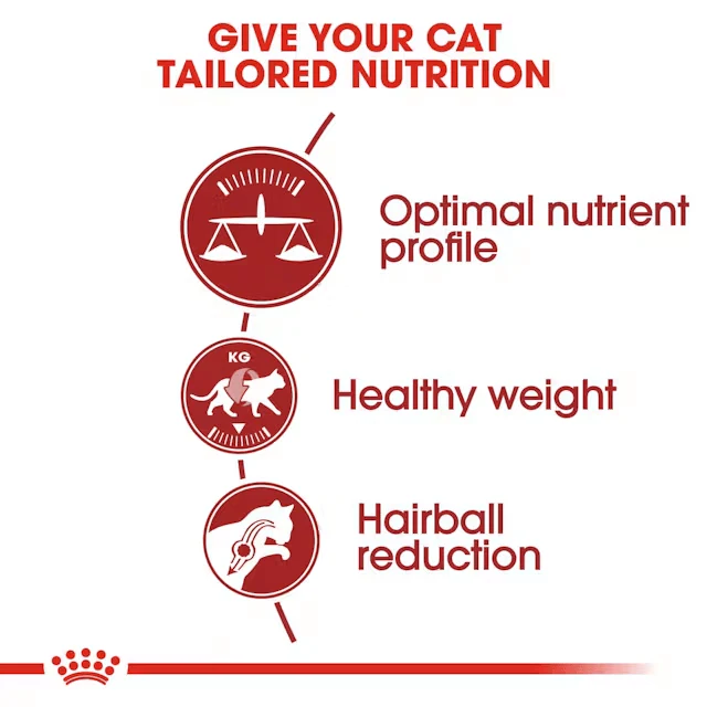 ROYAL CANIN Adult Dry Cat Food Fit32 - Image 4
