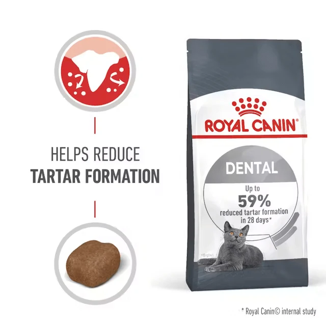 Royal Canin Dental Care Adult Dry Cat Food - Image 2