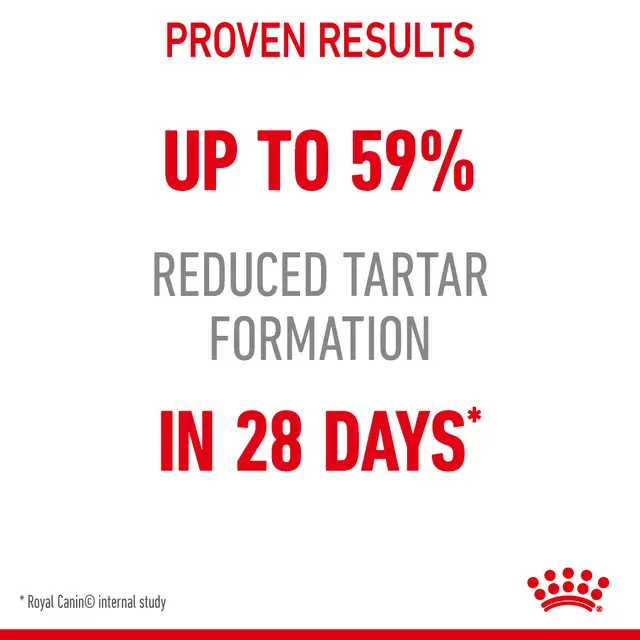 Royal Canin Dental Care Adult Dry Cat Food - Image 6