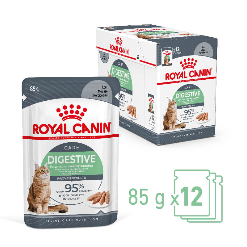 ROYAL CANIN Digestive Care Loaf Wet Cat Food Pouches