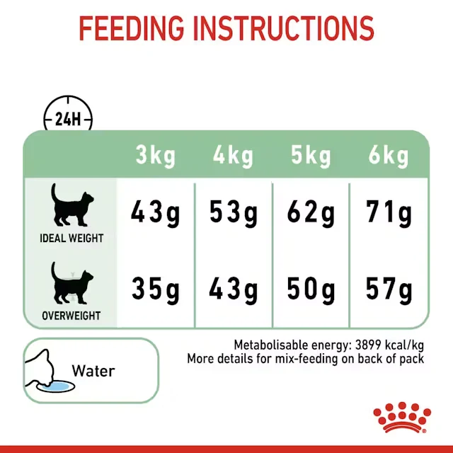 ROYAL CANIN Digestive Care Adult Dry Cat Food 4KG - Image 4
