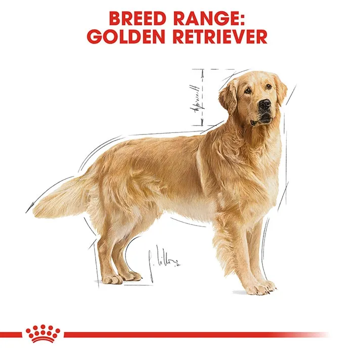 ROYAL CANIN Golden Retriever Adult Dry Dog Food 12KG - Image 2