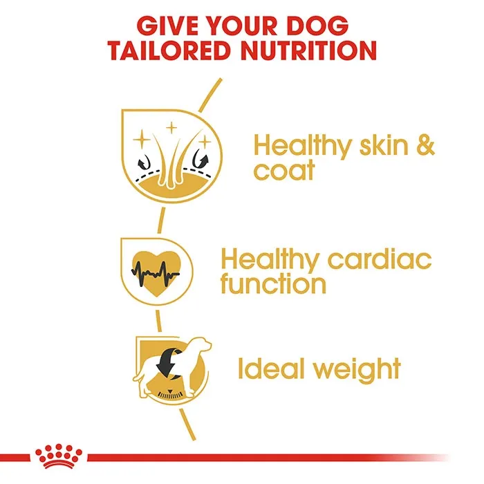 ROYAL CANIN Golden Retriever Adult Dry Dog Food 12KG - Image 3
