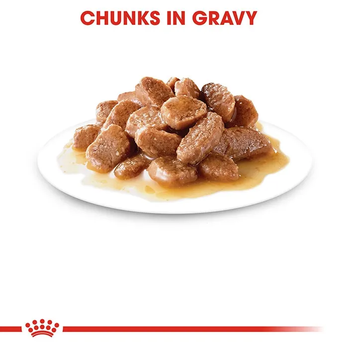 ROYAL CANIN Hairball Care Gravy Wet Cat Food Pouches - Image 5