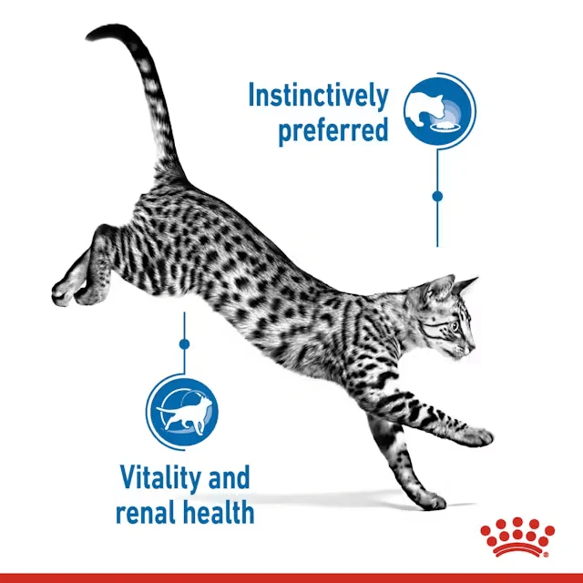 ROYAL CANIN Indoor 7+ Mature Gravy Wet Cat Food Pouch - Image 3
