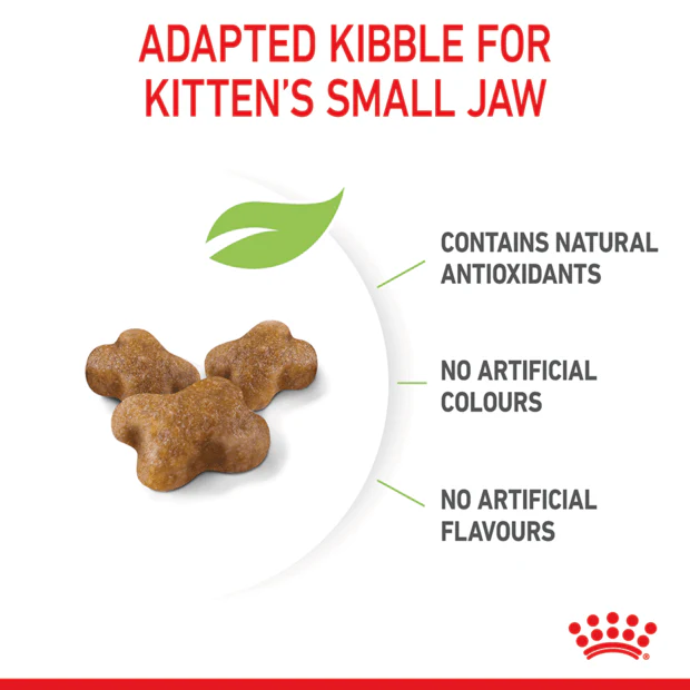 ROYAL CANIN Kitten Second Age Dry Cat Food - Image 2