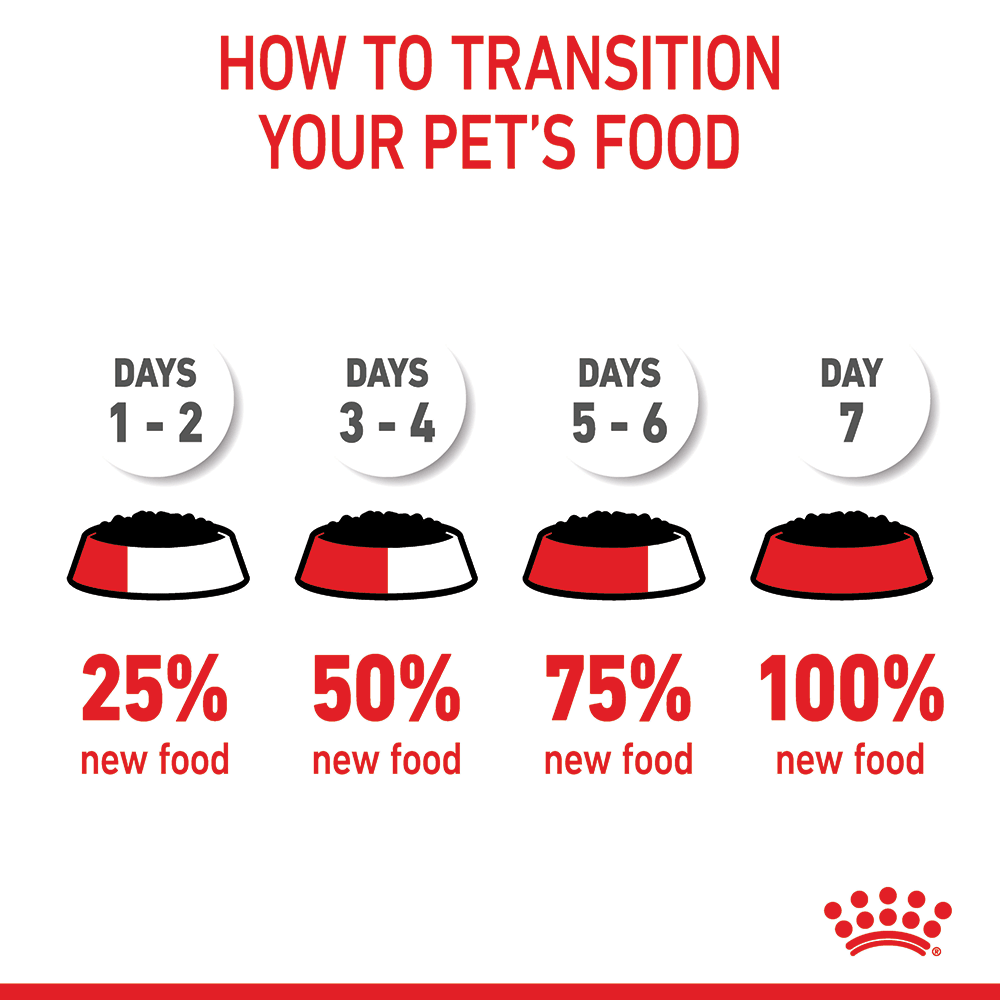 ROYAL CANIN Kitten Instinctive Loaf Wet Cat Food Pouches 85Gx12 - Image 5