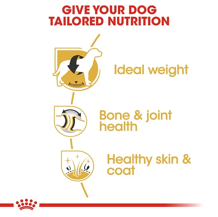 ROYAL CANIN Labrador Retriever Adult Dry Dog Food 12KG - Image 3
