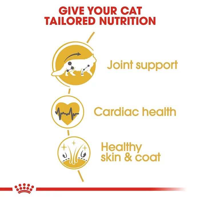 ROYAL CANIN Maine Coon Adult Dry Cat Food - Image 2