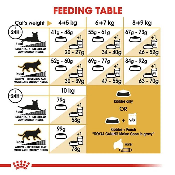 ROYAL CANIN Maine Coon Adult Dry Cat Food - Image 4