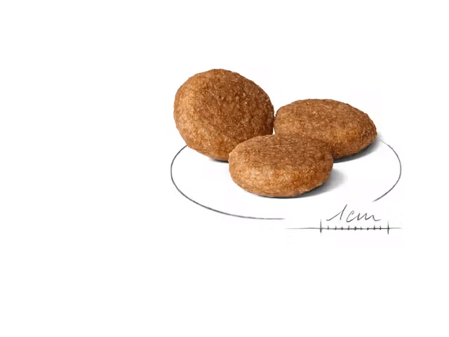 ROYAL CANIN Medium Adult Dry Dog Food - Image 3