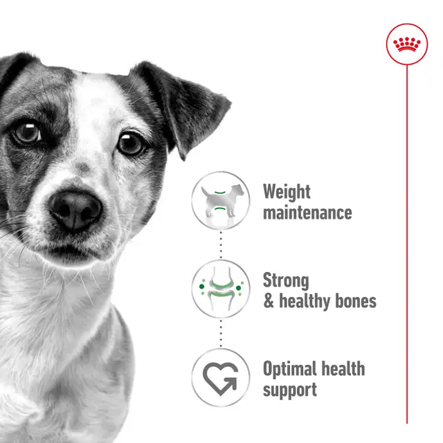 ROYAL CANIN Mini Adult Dry Dog Food - Image 2