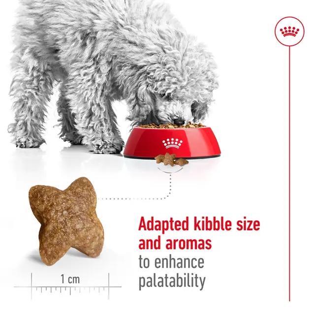 ROYAL CANIN Mini Adult Dry Dog Food - Image 3