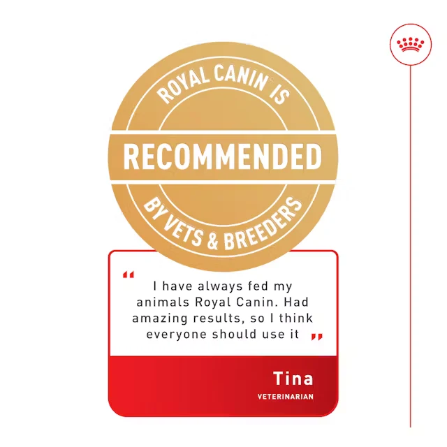 ROYAL CANIN Mini Adult Dry Dog Food - Image 4