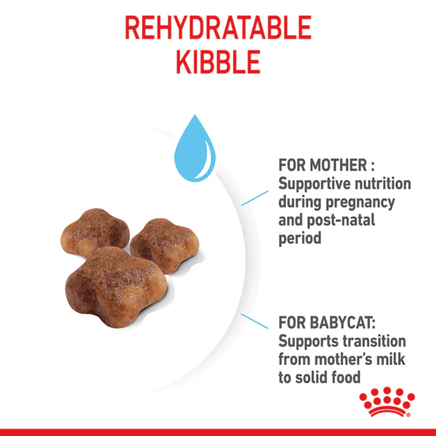 Royal Canin Mother And Babycat Dry Cat Food - Image 2