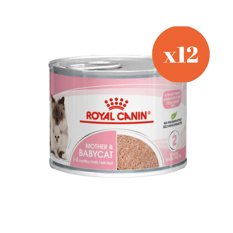 Royal Canin Mother & Babycat Mousse Wet Cat Food - Image 2