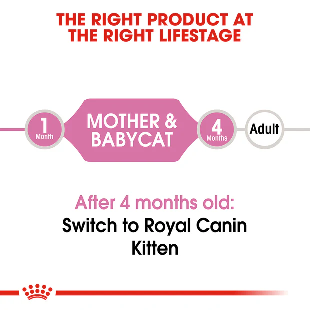 Royal Canin Mother & Babycat Mousse Wet Cat Food - Image 4