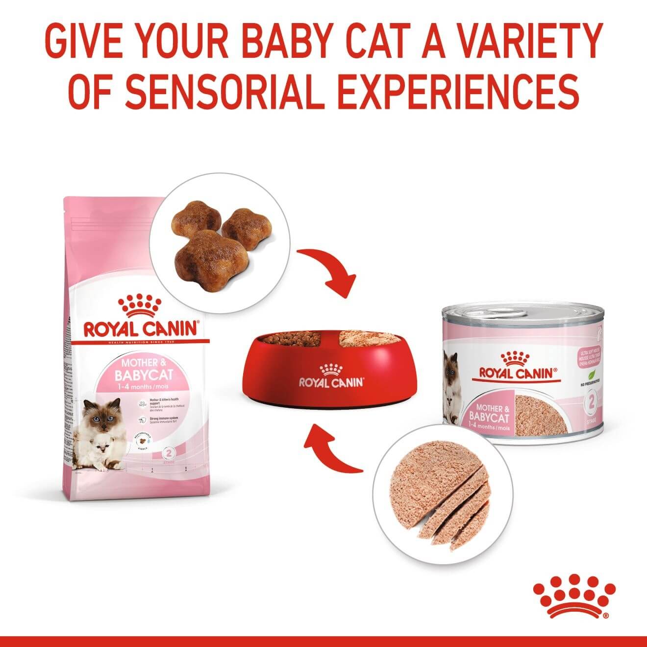 Royal Canin Mother & Babycat Mousse Wet Cat Food - Image 7